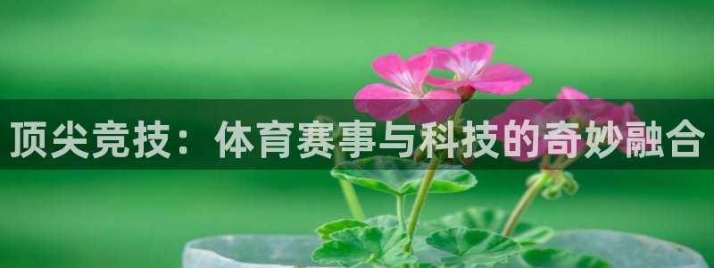 意昂5招商